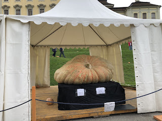 世界記録更新のかぼちゃ〜Kürbisausstellung Ludwigsburg/ルートヴィヒスブルクかぼちゃ展示会2021その2〜