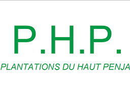 Opportunités de stage a la PHP - Plantations du Haut Penja 2023