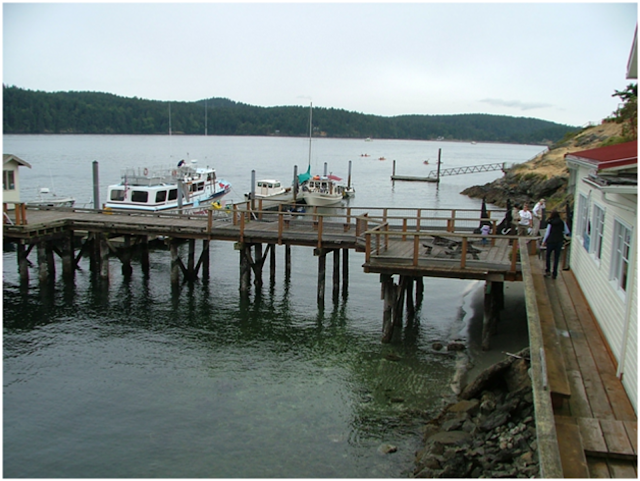 Orcas Landing - San Juan Islands