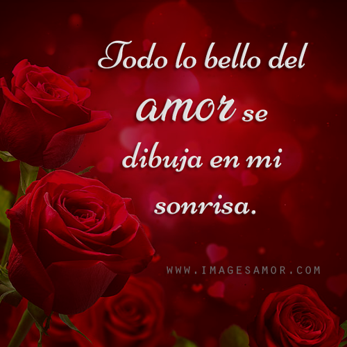 Rosas con frases cortas de amor para whatsapp