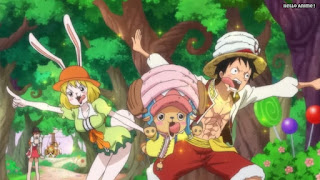 ワンピースアニメ WCI編 791話 ルフィ チョッパー キャロット 可愛い 誘惑の森 | ONE PIECE Episode 791