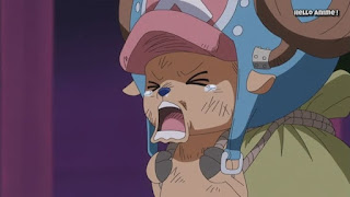 ワンピースアニメ WCI編 823話 チョッパー かわいい Chopper | ONE PIECE ホールケーキアイランド編