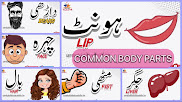 BODY PARTS NAME