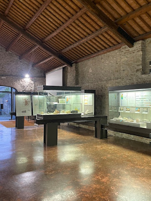 Museo dei Fossili