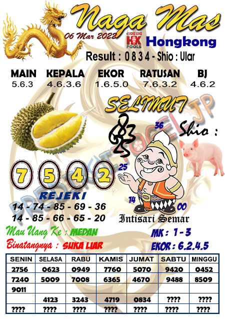 Prediksi Syair Naga Mas HK Minggu 06 Maret 2022