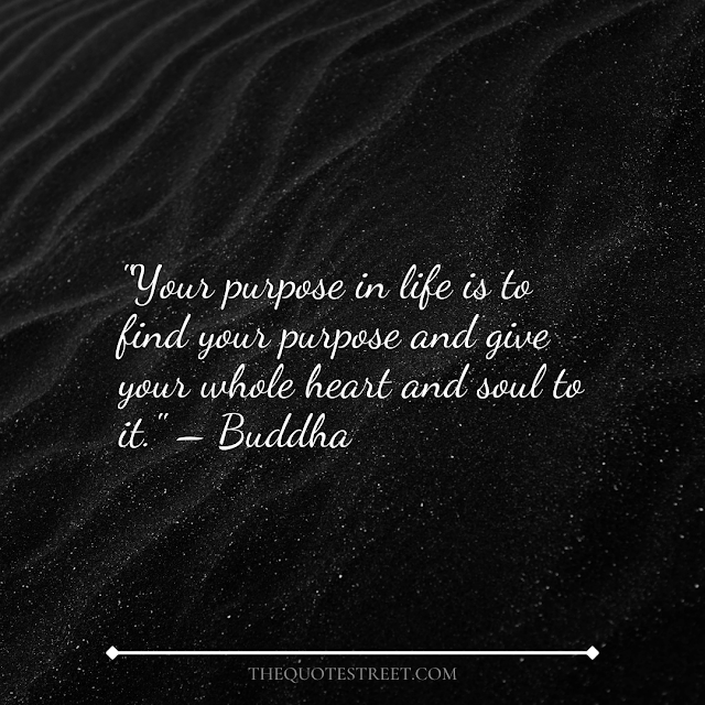 "Your purpose in life is to find your purpose and give your whole heart and soul to it." – Buddha