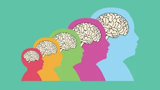 Learning second language before age 5 changes how the brain will develop later in life.