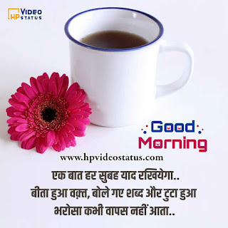Find Hear Best Good Morning My Love With Images For Status. Hp Video Status Provide You More Good Morning Messages For Visit Website.