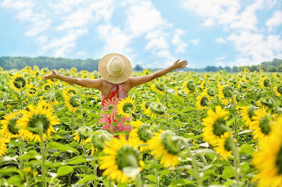 Mulher num campo de girassóis, ela e eles, voltados para o sol. #PraCegoVer