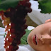 Download Film Mulberry (1986) Bluray MKV 480p 720p 1080p Sub Indo