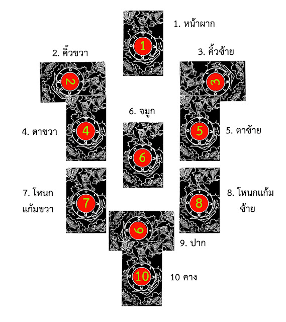 ผังจุดบอดจุดเสียบนใบหน้า