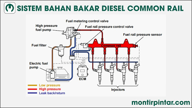 Sistem bahan bakar diesel common rail
