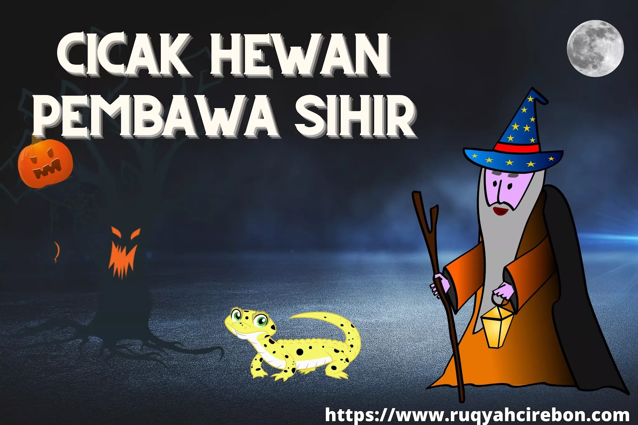 Hati-Hati Cicak Hewan Pembawa Sihir