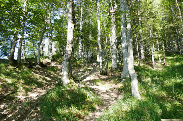 ursulablick st johann in tirol