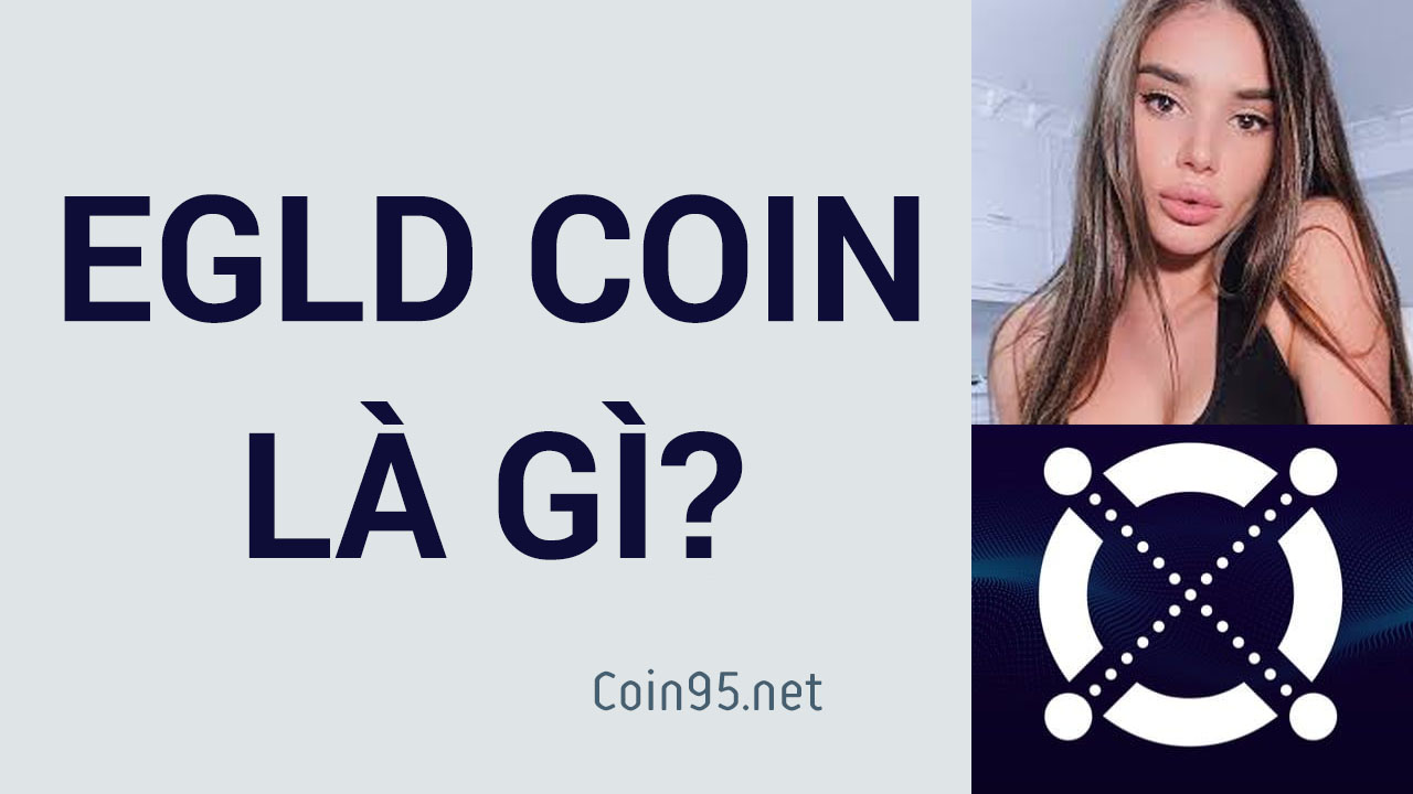 egld-coin-price