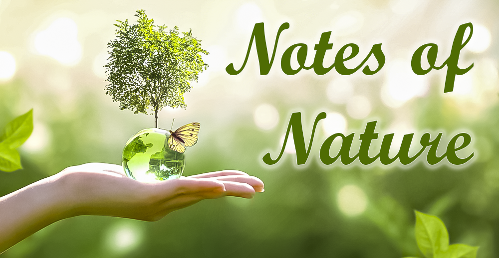      Notes of Nature