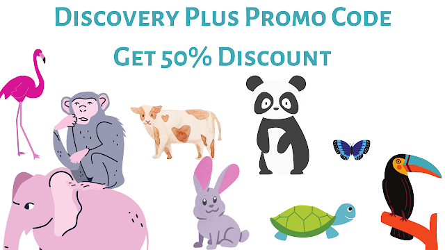 Discovery Plus Promocodes to save half the price | Grab offer now | GB SHOPPERZ