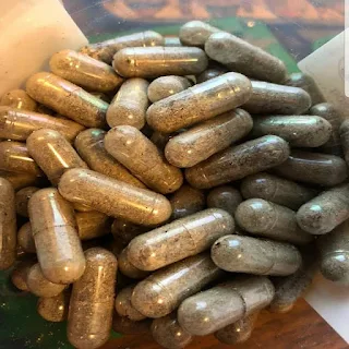 Chaga mushroom capsules