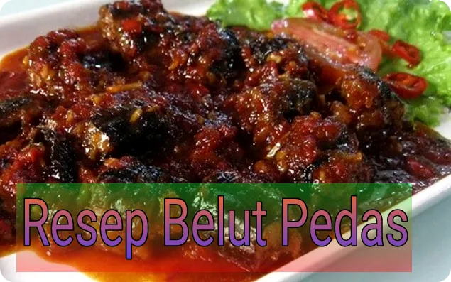 Resep Masakan Belut Pedas ( Balado ), Dijamin Enak Bikin Ketagihan