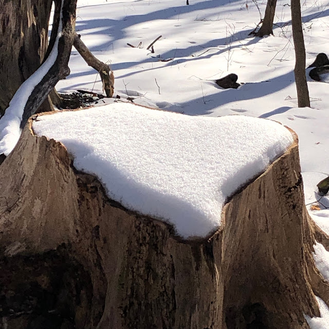 A lovely snow heart upon a tree stump at Johnson's Mound Forest Preserve.