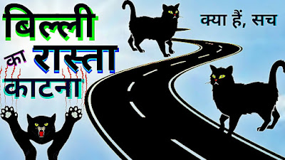 बिल्ली के रास्ता काटने का मतलब | बिल्ली के रास्ता काटने से क्या होता है | बिल्ली के रास्ता काटने पर क्या करें | billi ke rasta katne ka matlab