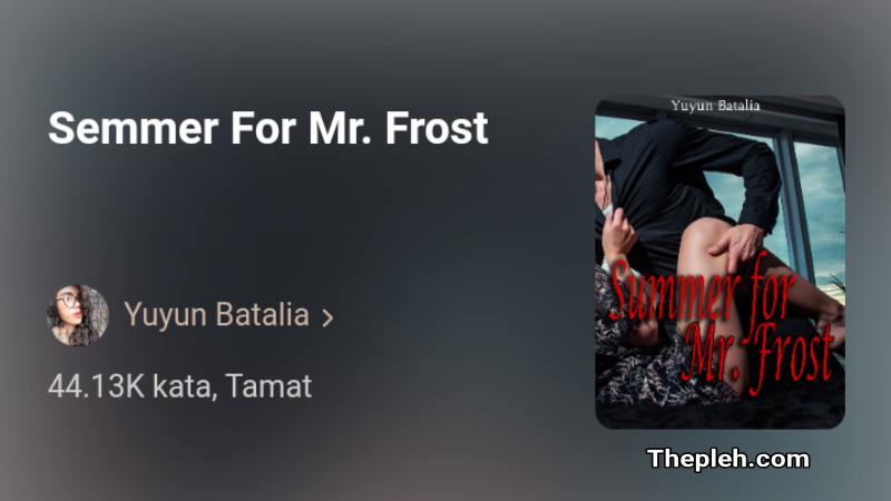 Novel Semmer For Mr. Frost