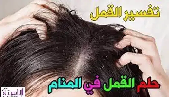 Interpretation-dream-about-lice-hair