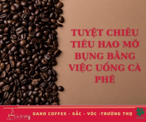 TUYỆT CHIÊU TIÊU HAO MỠ BỤNG BẰNG VIỆC UỐNG CÀ PHÊ