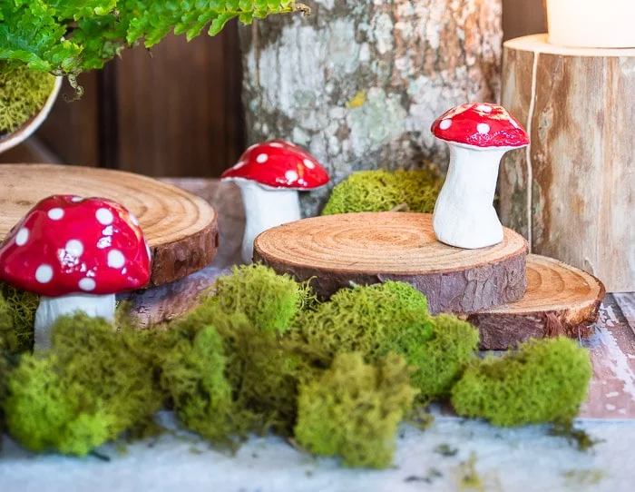 Clay mushrooms with glossy red tops and white polka dots, moss, wood slices fairy garden