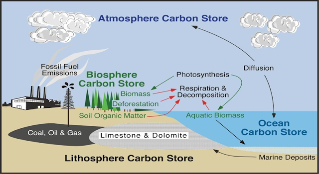 Atmosphere Carbon Store