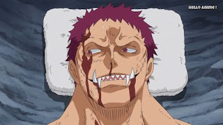 ワンピースアニメ WCI編 877話 シャーロット・カタクリ Charlotte Katakuri CV.杉田智和 | ONE PIECE ホールケーキアイランド編