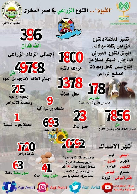 انفوجراف| بمناسبة عيدها القومي.. "الفيوم".. التنوع الزراعي في مصر الصغرى