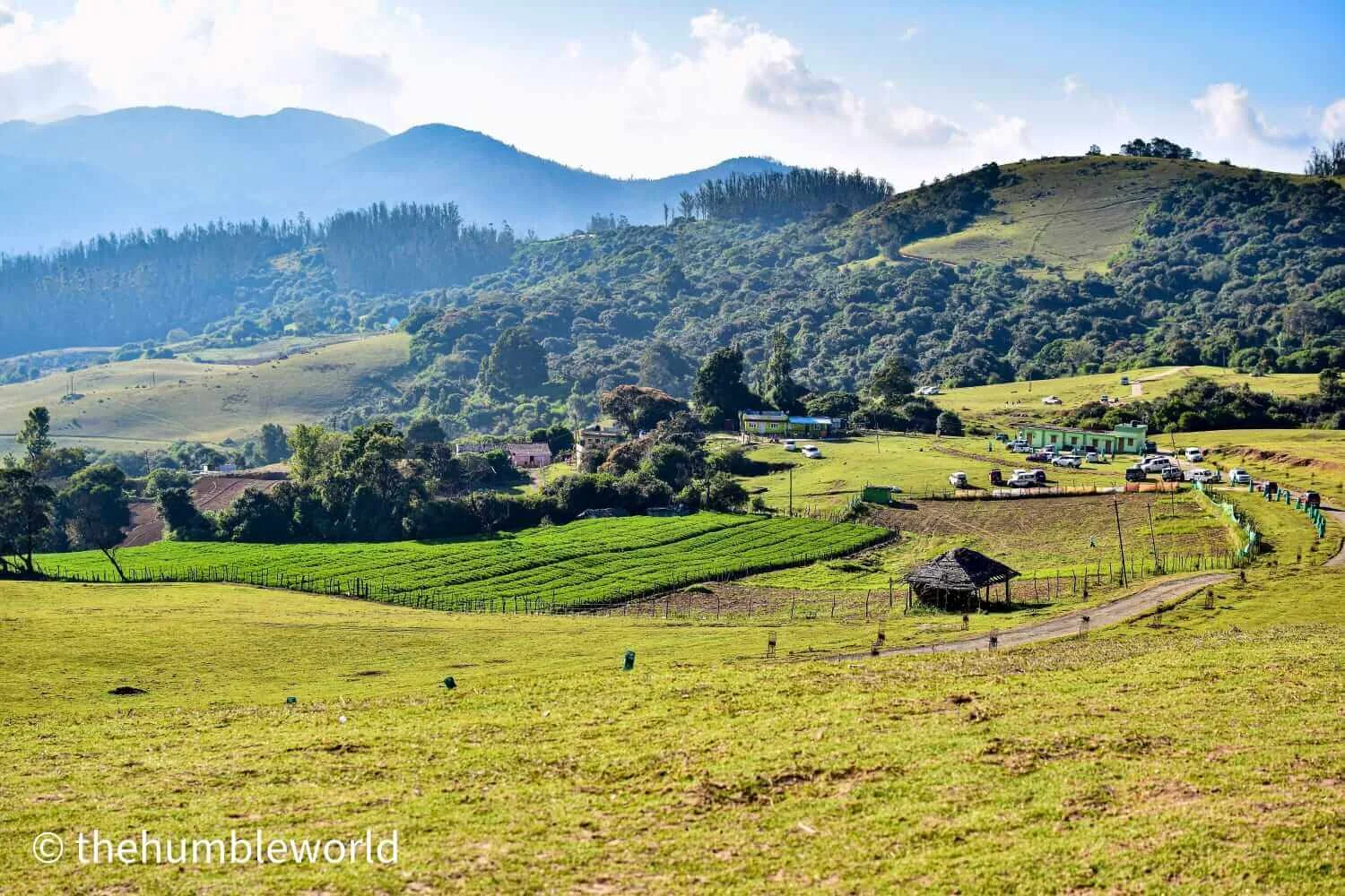 Picture perfect landscapes in Wenlock Downs in Ooty