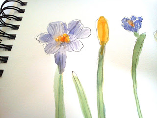A portion of sketchbook and a first crocus sketch