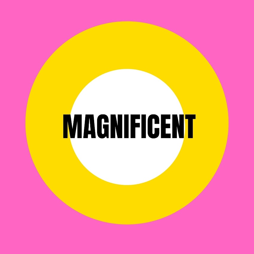 MAGNIFICIENT IS  MAKING A LEAD IN LIFE COACHING MARKET 