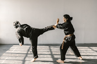 Two martial artists sparring | Martial Arts Industry Association