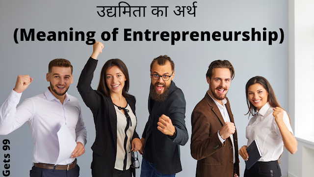 Entrepreneurship Meaning In Hindi | उद्यमिता का मतलब हिंदी में