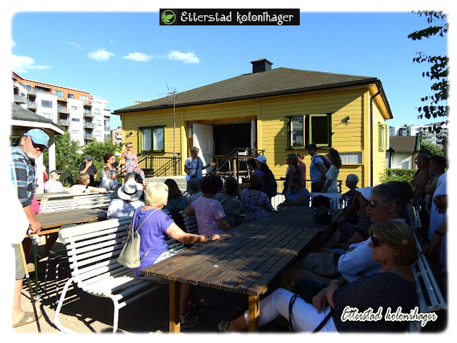 Sommerparadiset  Etterstad kolonihager i Etterstadgata 18C øverst på Vålerenga i Oslo.