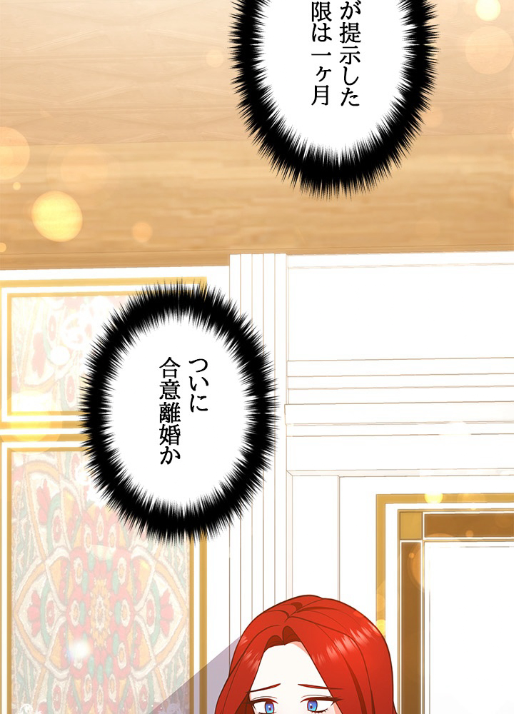 公爵夫人は旦那様と別れたい 23