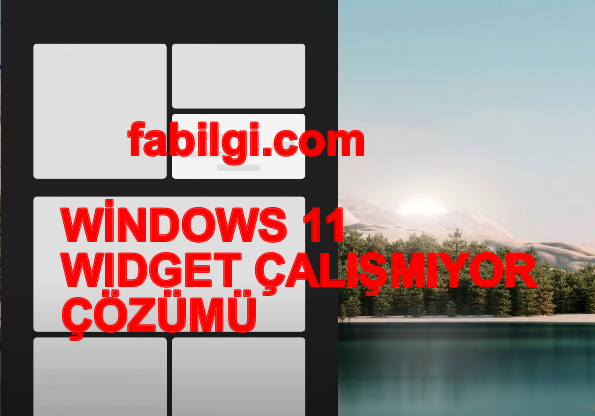 Windows 11 Widgetler Çalışmıyor Sorunu Çözümü Programsız
