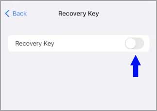 19-iphone-privacy-features-recovery-key-toggle