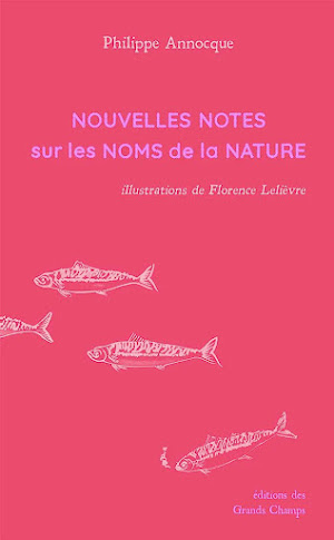 Nouvelles notes sur les noms de la nature