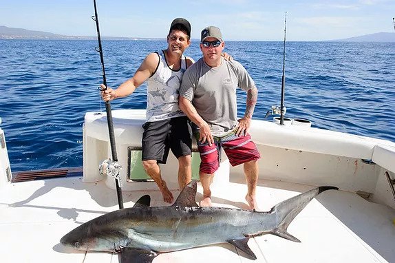 Sport fishing puerto Vallarta