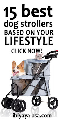 Recommended Pet Strollers