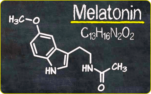 melatonin hormone