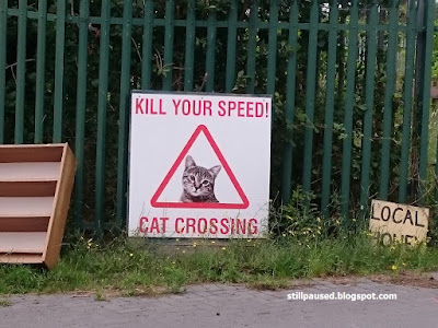 Thoughtful_Cat_Crossing_Road_Sign