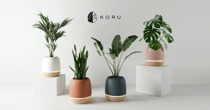 KORU  Purify Your Air & Grow Healthy Plants - Indiegogo