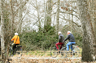 Bicicleta Ciclismo Aranjuez