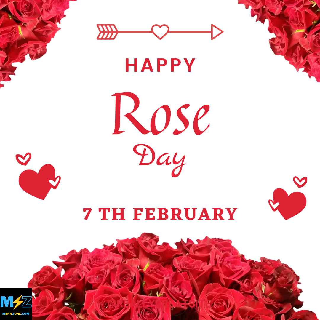 rose Day 2024 - HD Images and Wallpapers