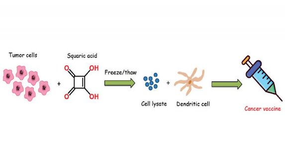 Dendritic Cell and Tumor Cell Cancer Vaccine